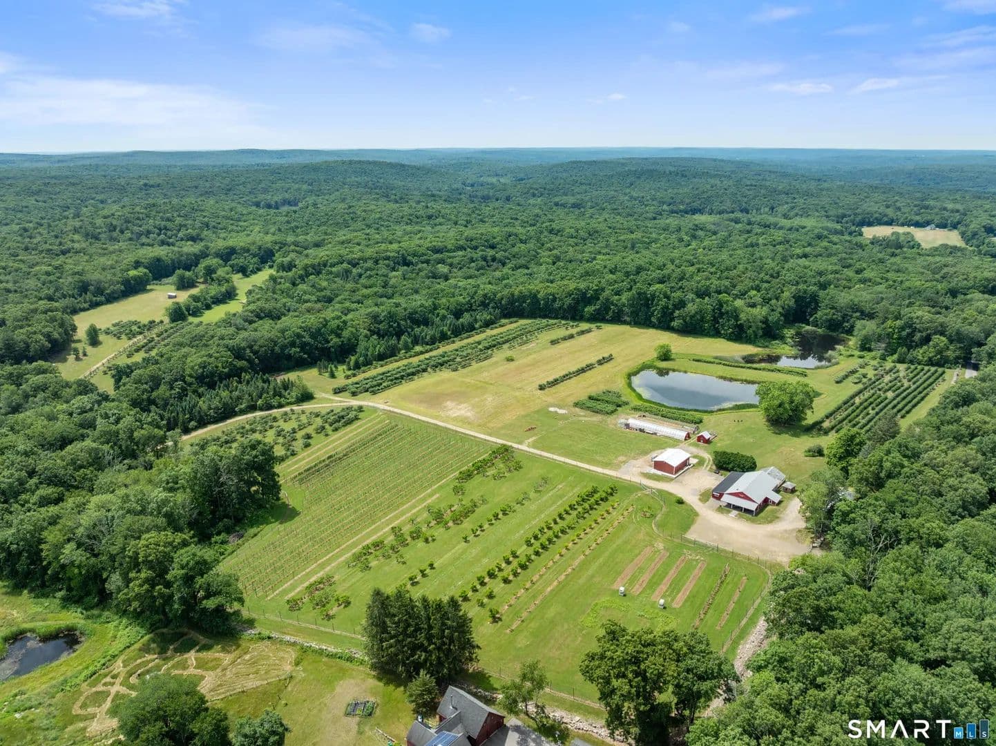 153.1 Acres of Land for Sale in Ashford, CT - Ashford, Connecticut, 06278