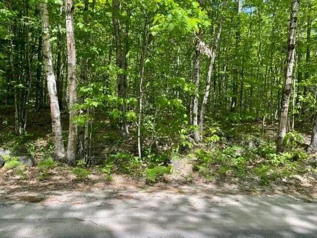 1.24 Acres of Land for Sale in Harrison, Maine - Harrison, Maine, 04040