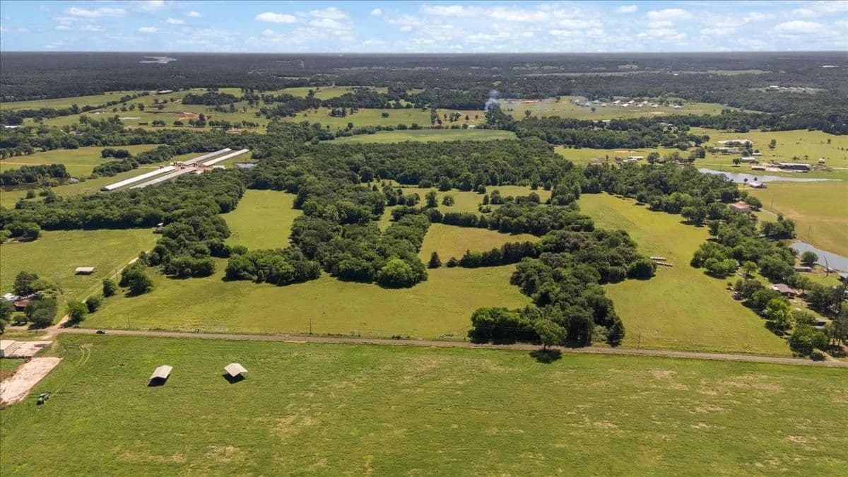 Property from TBD County Road 2395 - KW - Winnsboro, Texas, 75494