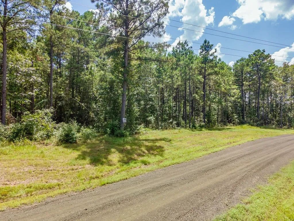 Land -Agricultural (Not Zoned) in Broadus - Broadus, Texas, 75929