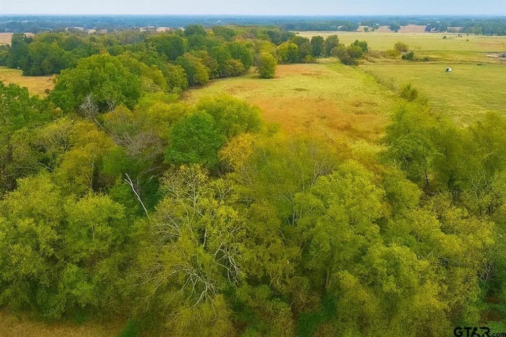 Land -Agricultural (Not Zoned) in Grand Saline - Grand Saline, Texas, 75140
