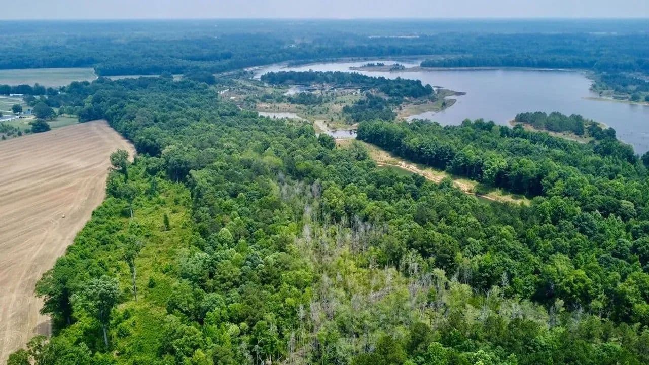 45 acres of Recreational Timberland For Sale in Harnett County NC! - Erwin, North Carolina, 28339