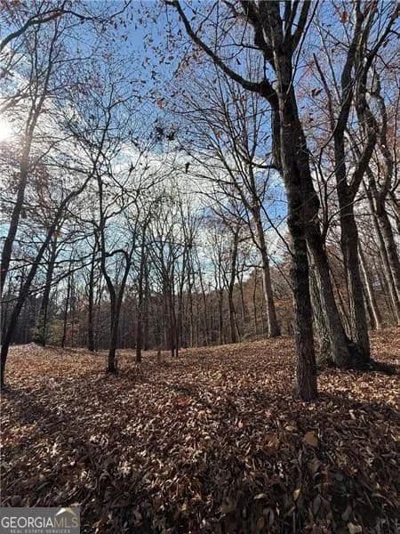 4.97 Acres of Land for Sale in Jasper, Georgia - Jasper, Georgia, 30143