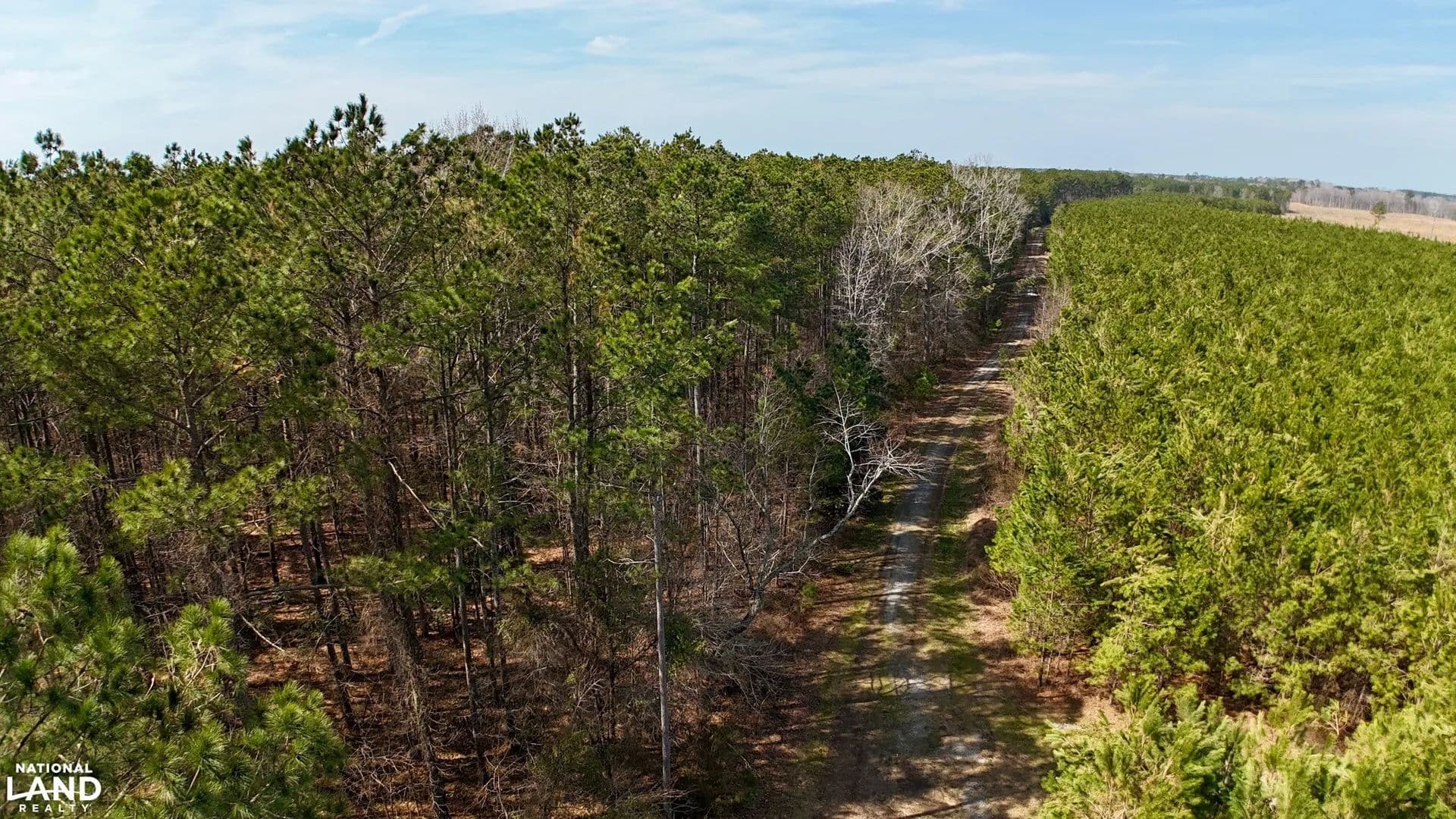 Cofield Deer Duck and Turkey Tract - Cofield, North Carolina, 27922