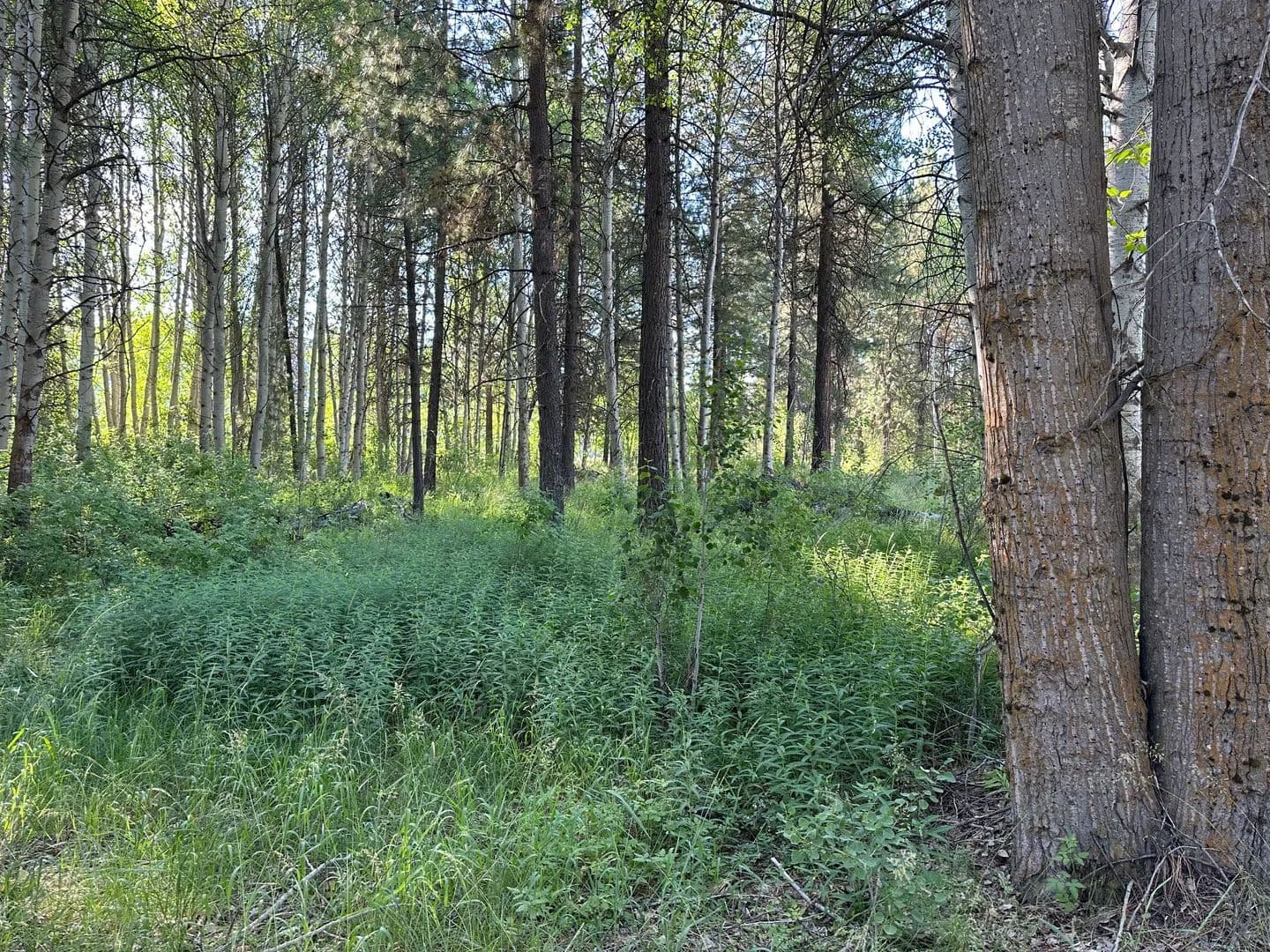 Vacant Land (0-10 Acres) in CHILOQUIN - Chiloquin, Oregon, 97624