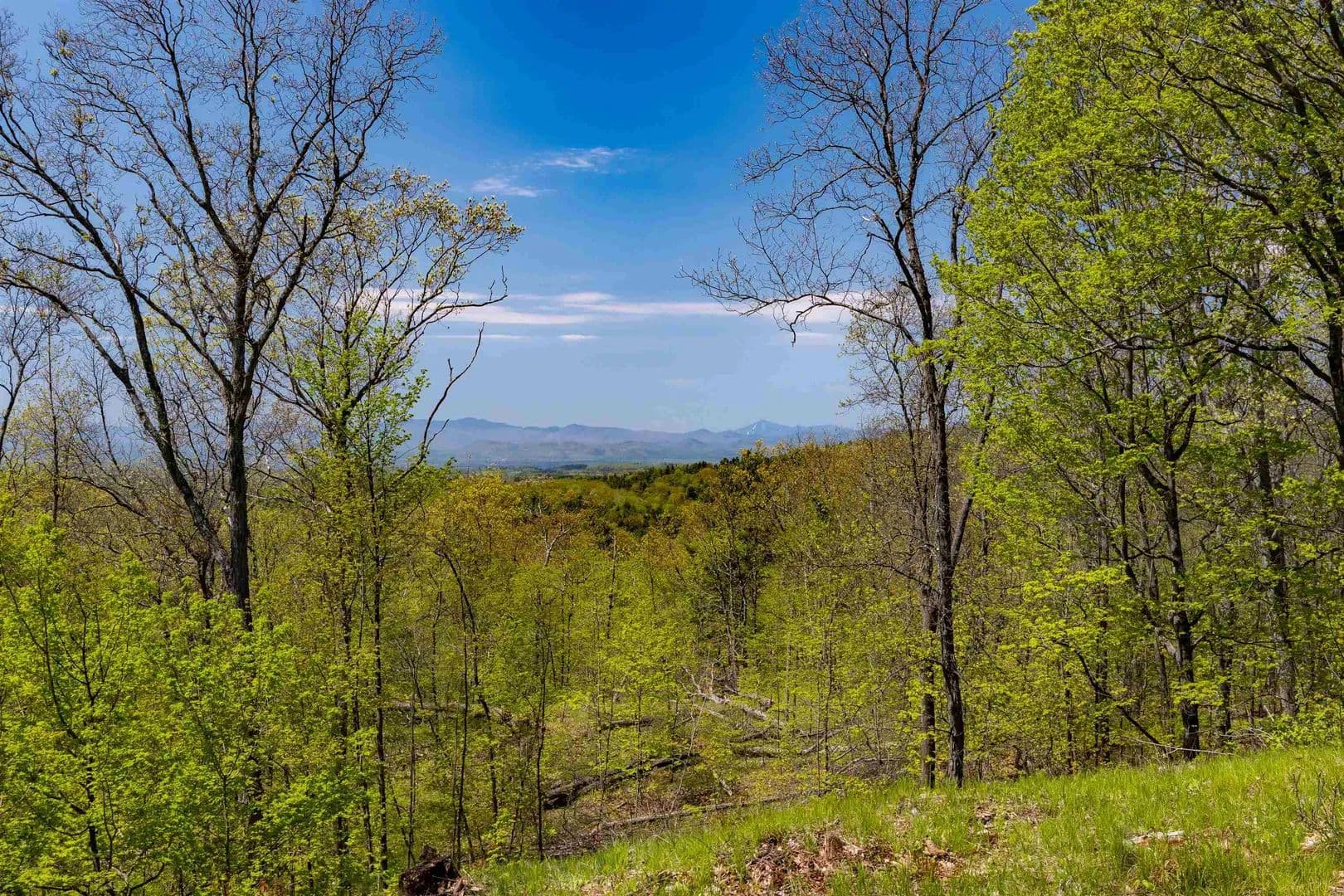 Property from 189 Shagbark Lane - KW - Williston, Vermont, 5495
