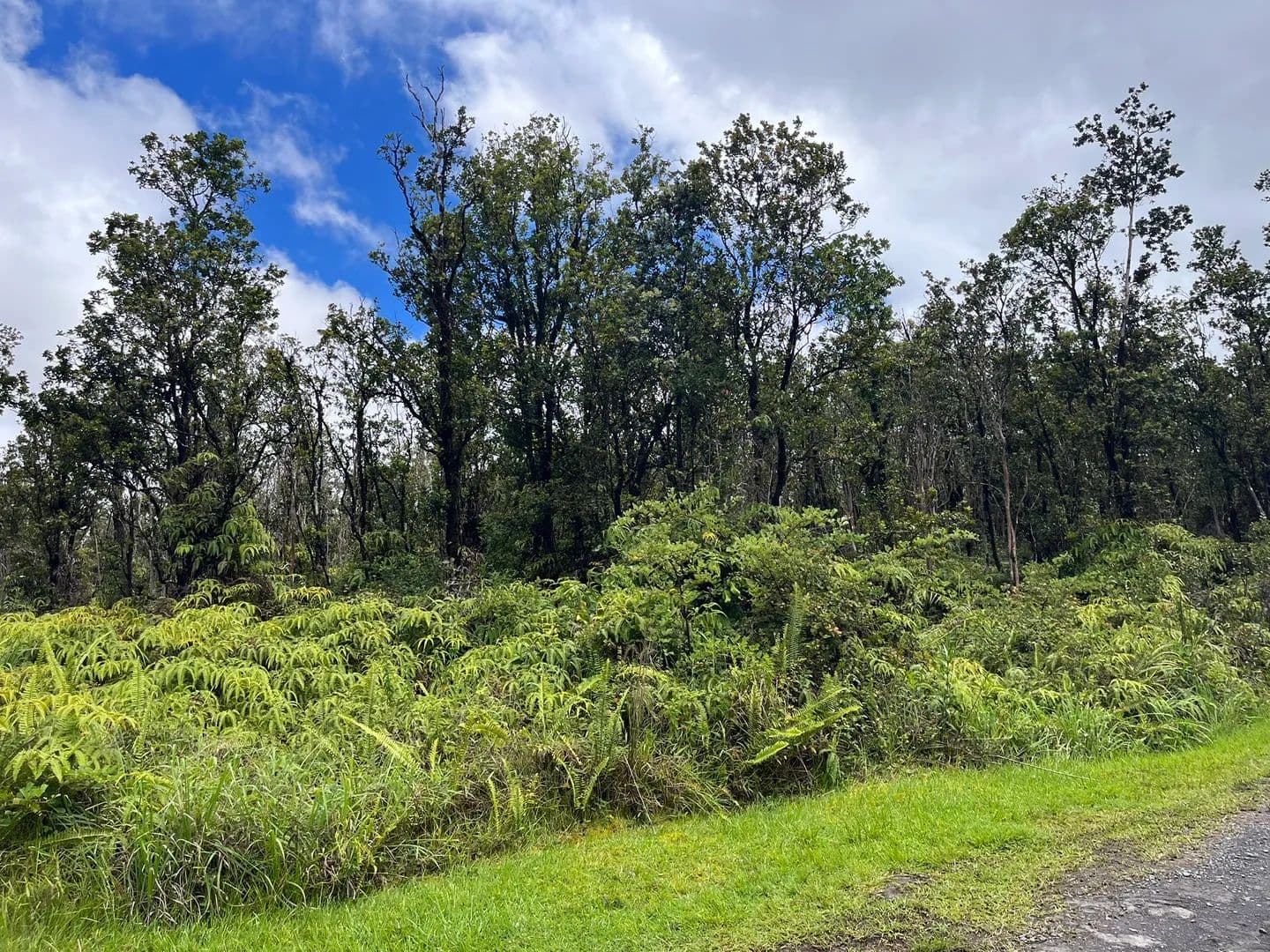 Vacant Land in Volcano - Volcano, Hawaii, 96785