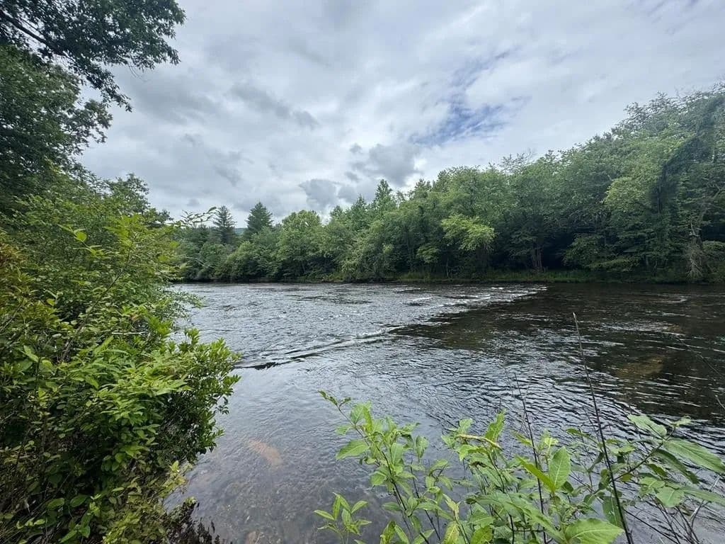 Lots & Land-Other in Hayesville - Hayesville, North Carolina, 28904