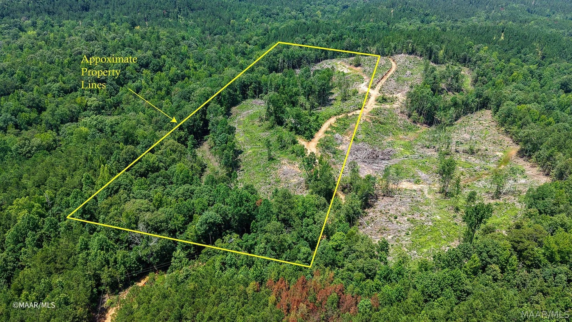 11.76 Acres of Land for Sale in Thomasville, AL - Thomasville, Alabama, 36784