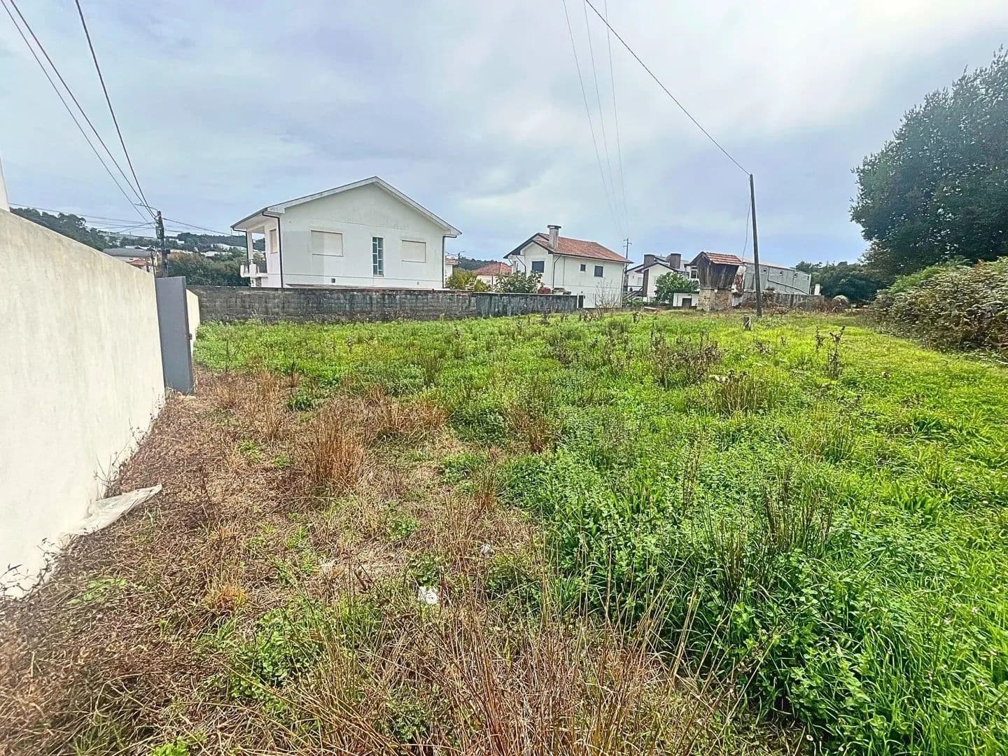 800 Acres of Land for Sale in Fiães, Santa Maria da Feira - land for sale