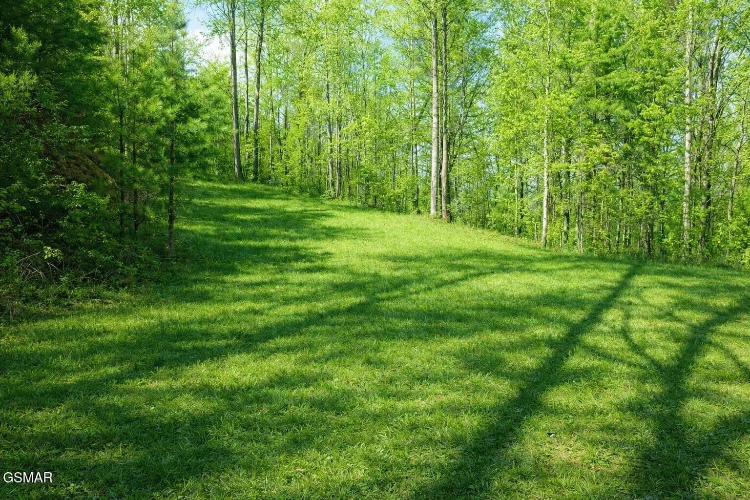 11.65 Acres of Land for Sale in Del Rio, Tennessee - Del Rio, Tennessee, 37727