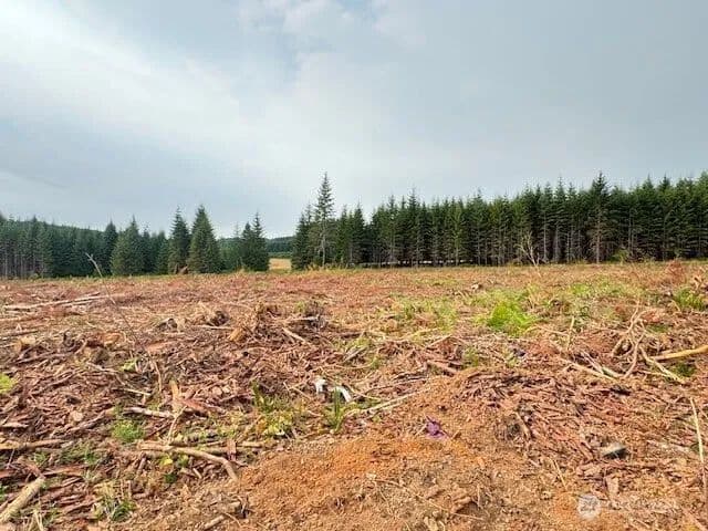 Land -Single Family Acreage in Winlock - Winlock, Washington, 98596
