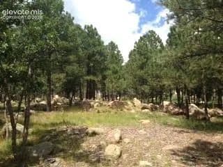 Property from 667 Silver Oak Grove - KW - Colorado Springs, Colorado, 80906