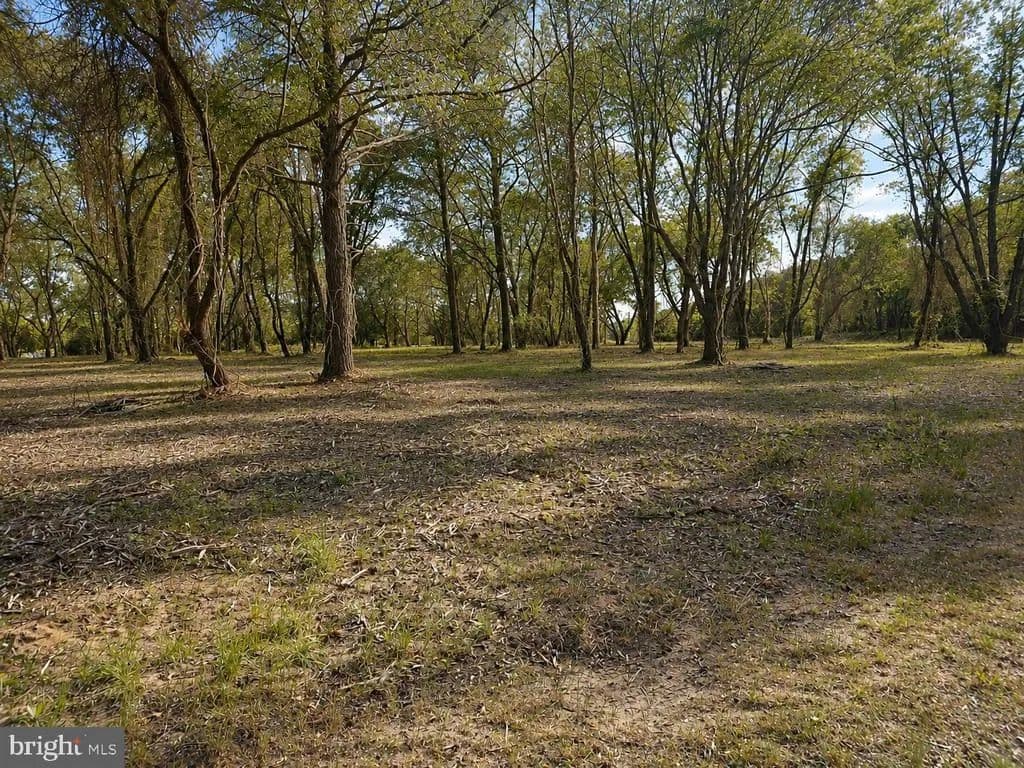 1.43 Acres of Land for Sale in NANTICOKE, MD - Nanticoke, Maryland, 21840