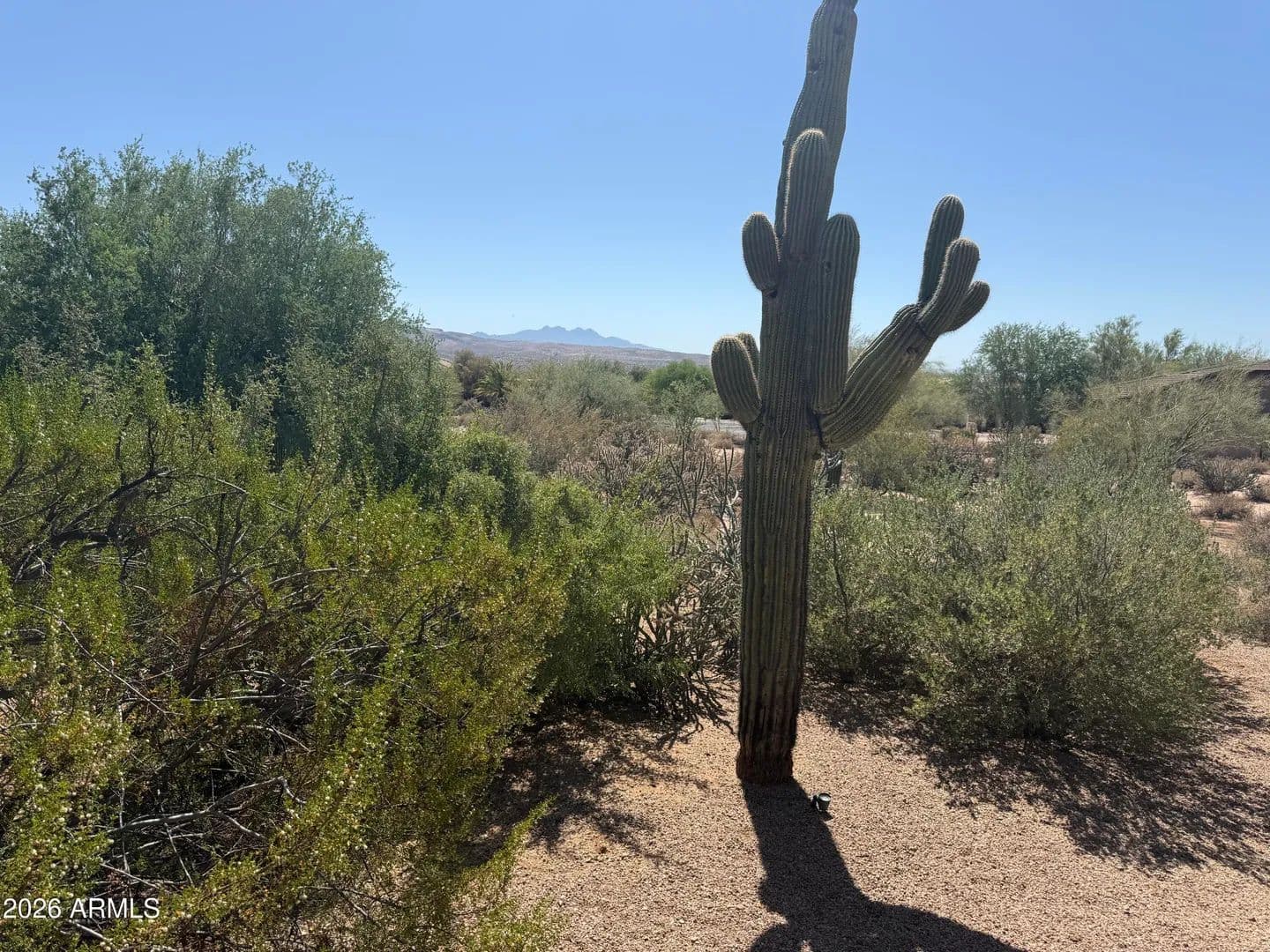 Property from 19020 E Buckskin Drive #7 - KW - Rio Verde, Arizona, 85263