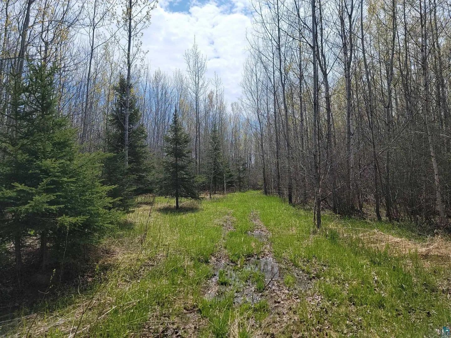 Property from 80X Sled Dog Trl - KW - Hovland, Minnesota, 55606