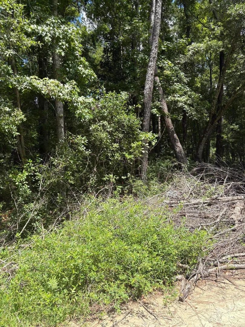 Vacant Land in North Charleston - North Charleston, South Carolina, 29418