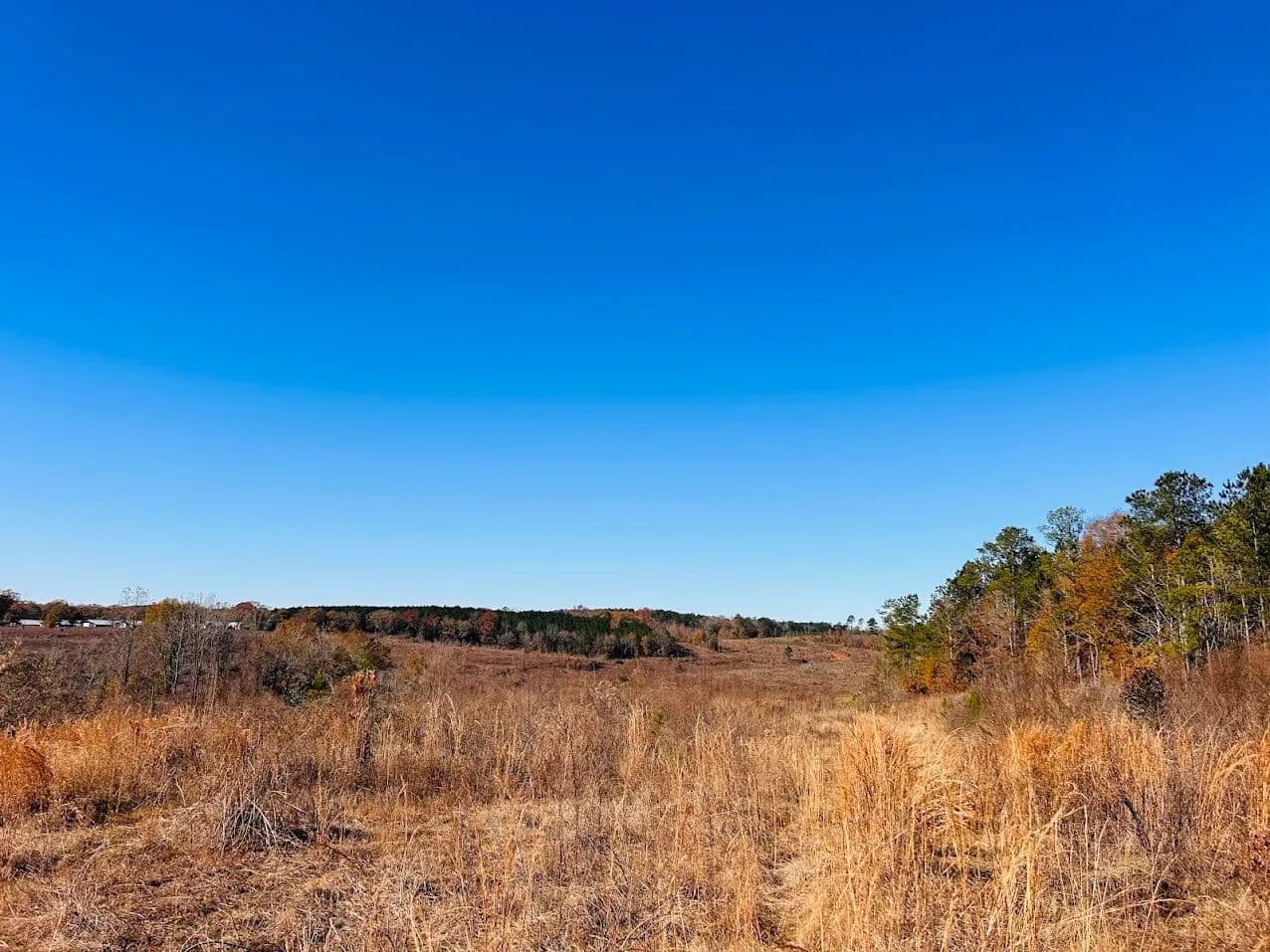 AG Land with Multiple Opportunities - Rupert, Georgia, 31081