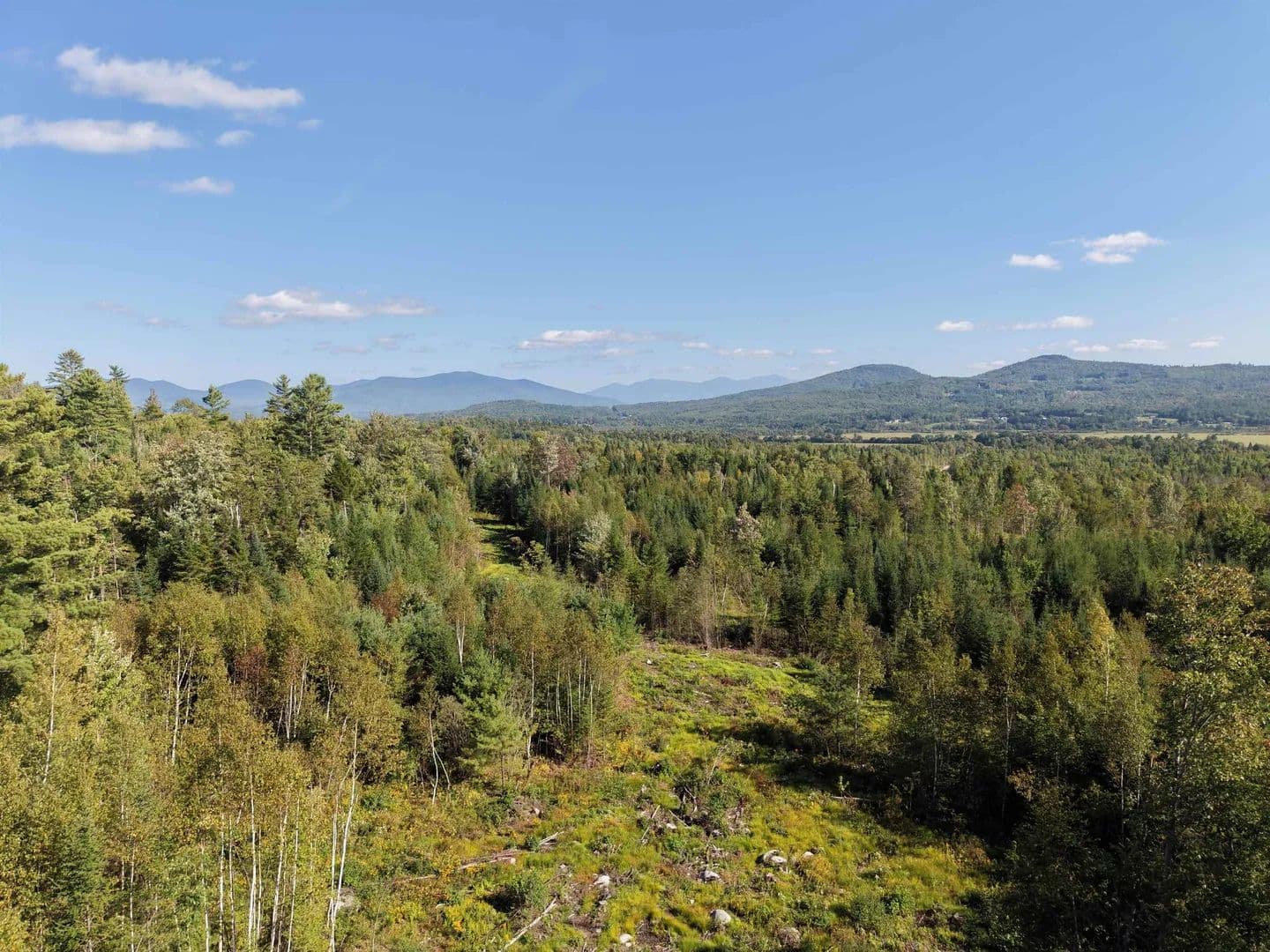 10.93 Acres of Land for Sale in Guildhall, VT - Guildhall, Vermont, 05905