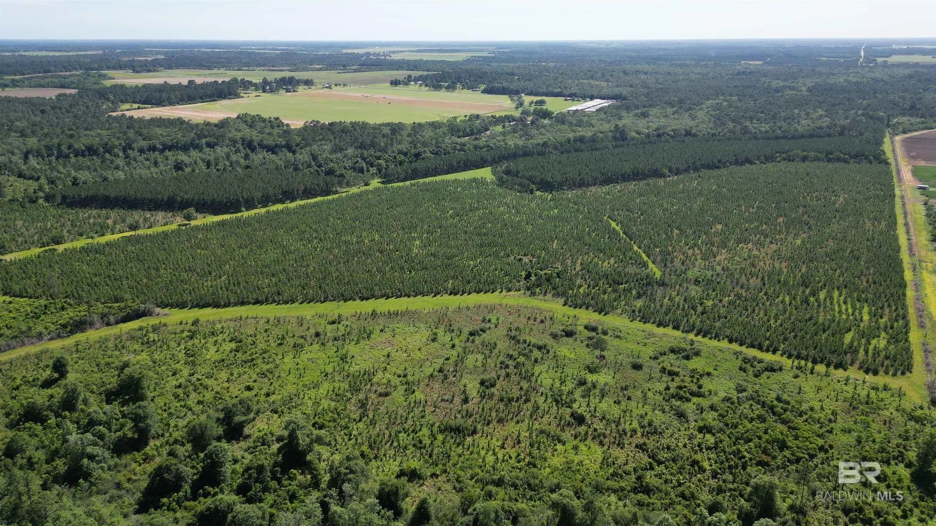Property from 0 County Road 87 - KW - Elberta, Alabama, 36530