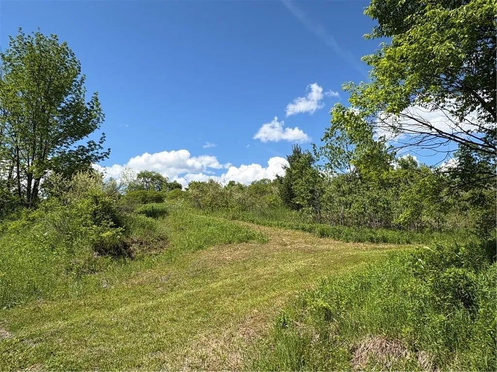15.25 Acres of Land for Sale in Guilford, New York - Guilford, New York, 13780