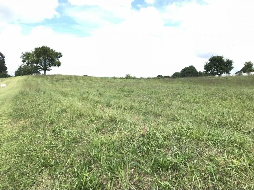 Property from 00 Katie Lane - KW - Chuckey, Tennessee, 37641