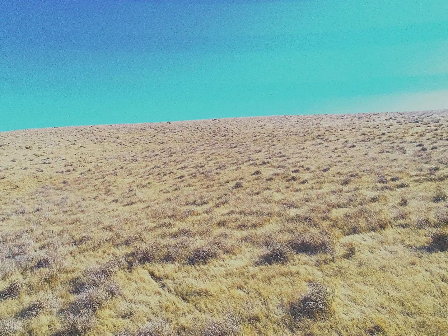 Wooden Rd - land for sale