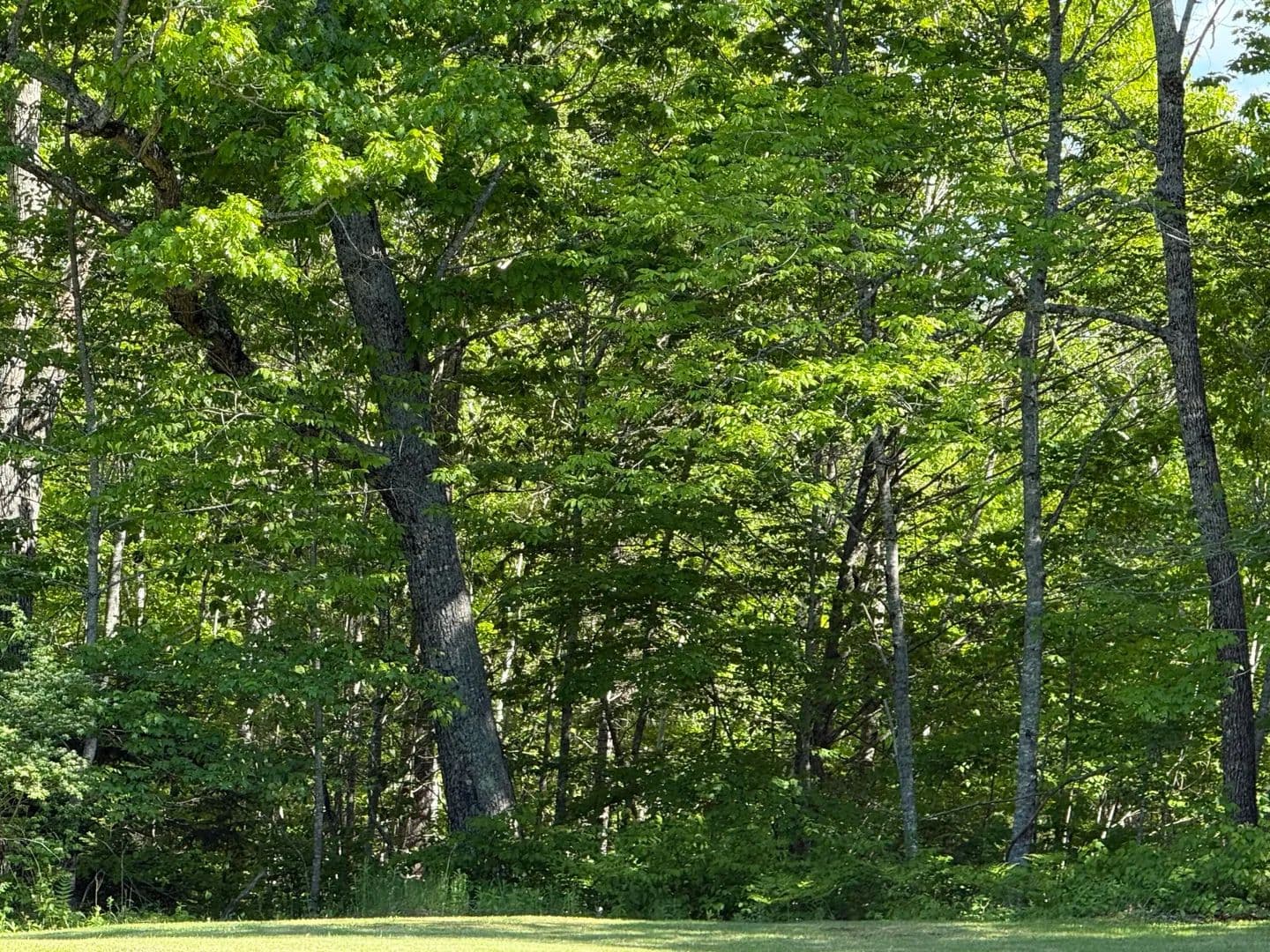 7.28 Acres of Land for Sale in Windsor, Maine - Windsor, Maine, 04363