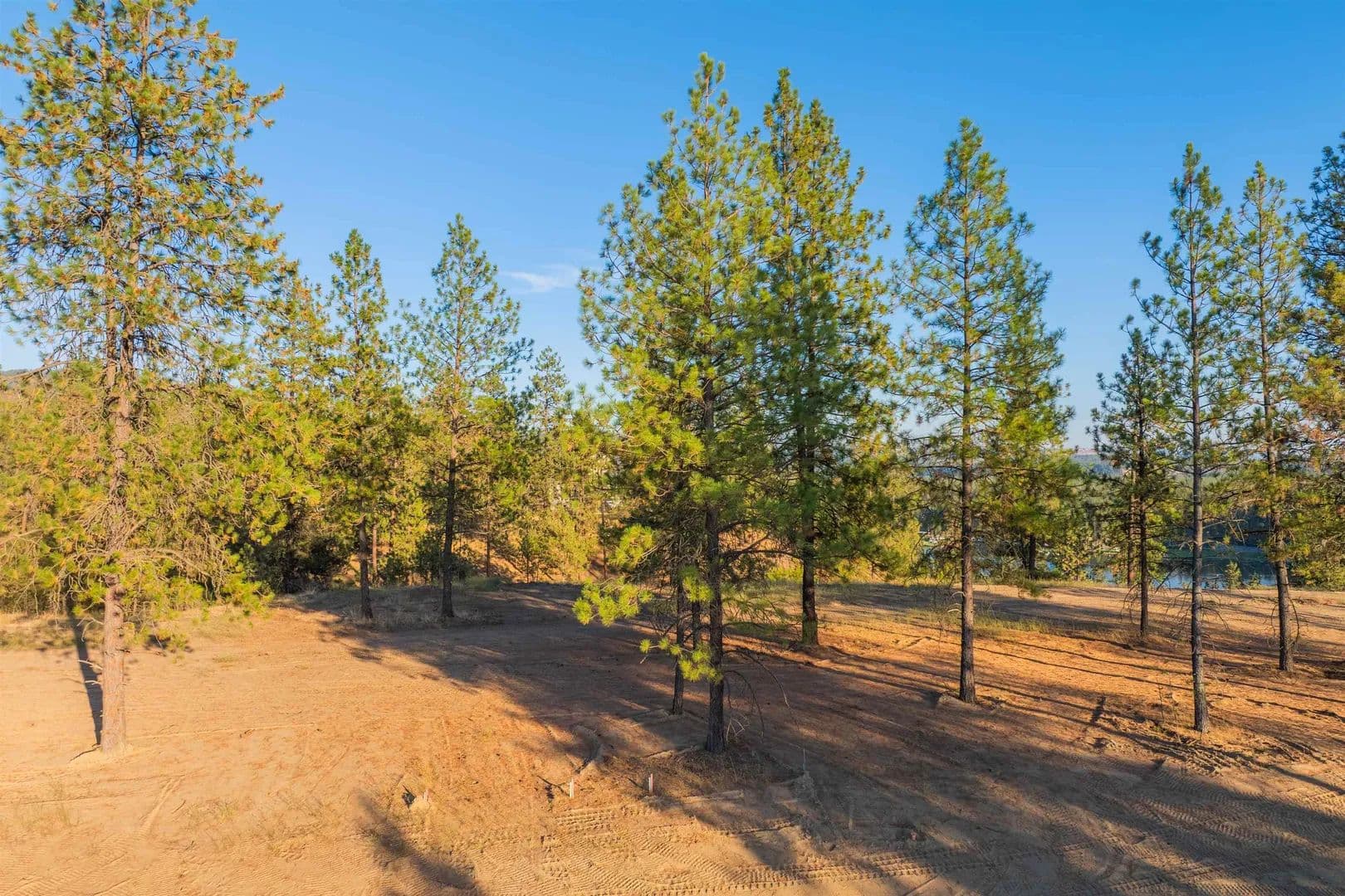 Vacant Land in Nine Mile Falls - Nine Mile Falls, Washington, 99026