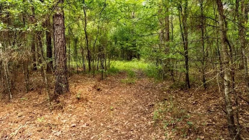 Lots & Land-Other in Hermanville