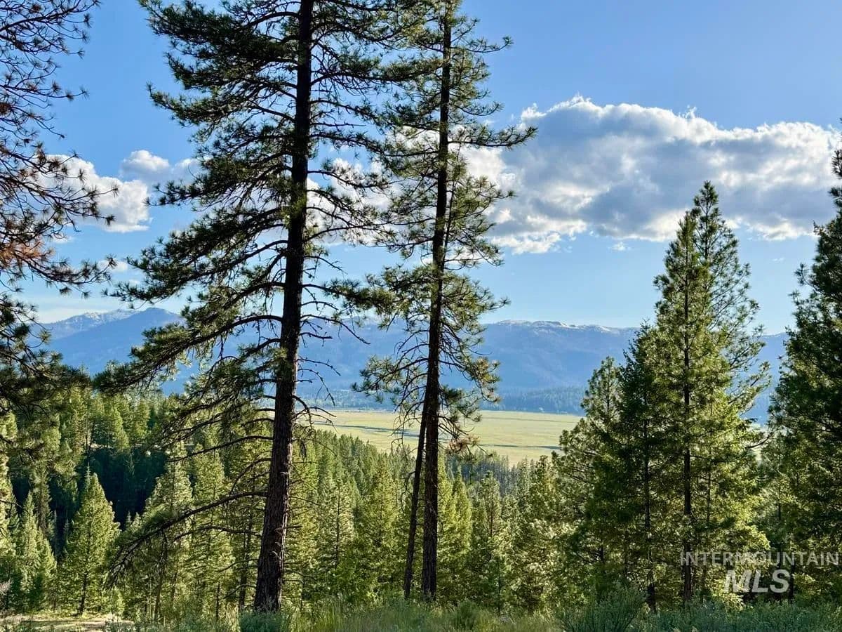 4.34 Acres of Land for Sale in Cascade, Idaho - Cascade, Idaho, 83611