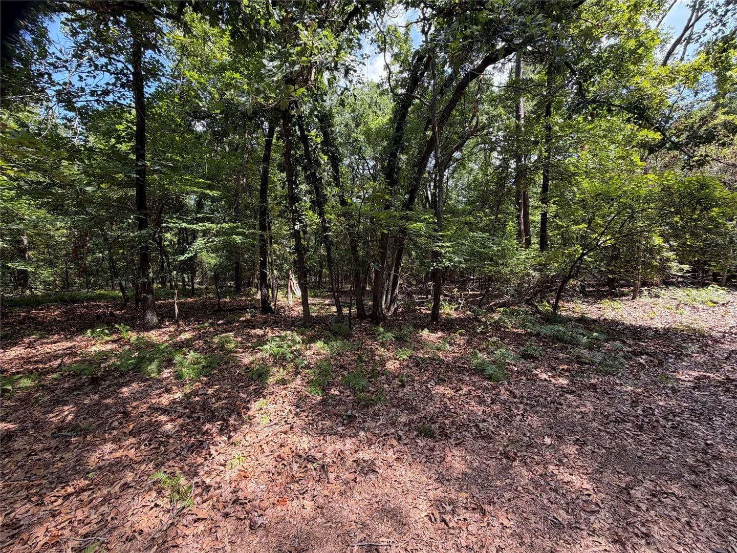 0.43 Acres of Land for Sale in Scroggins, Texas - Scroggins, Texas, 75480