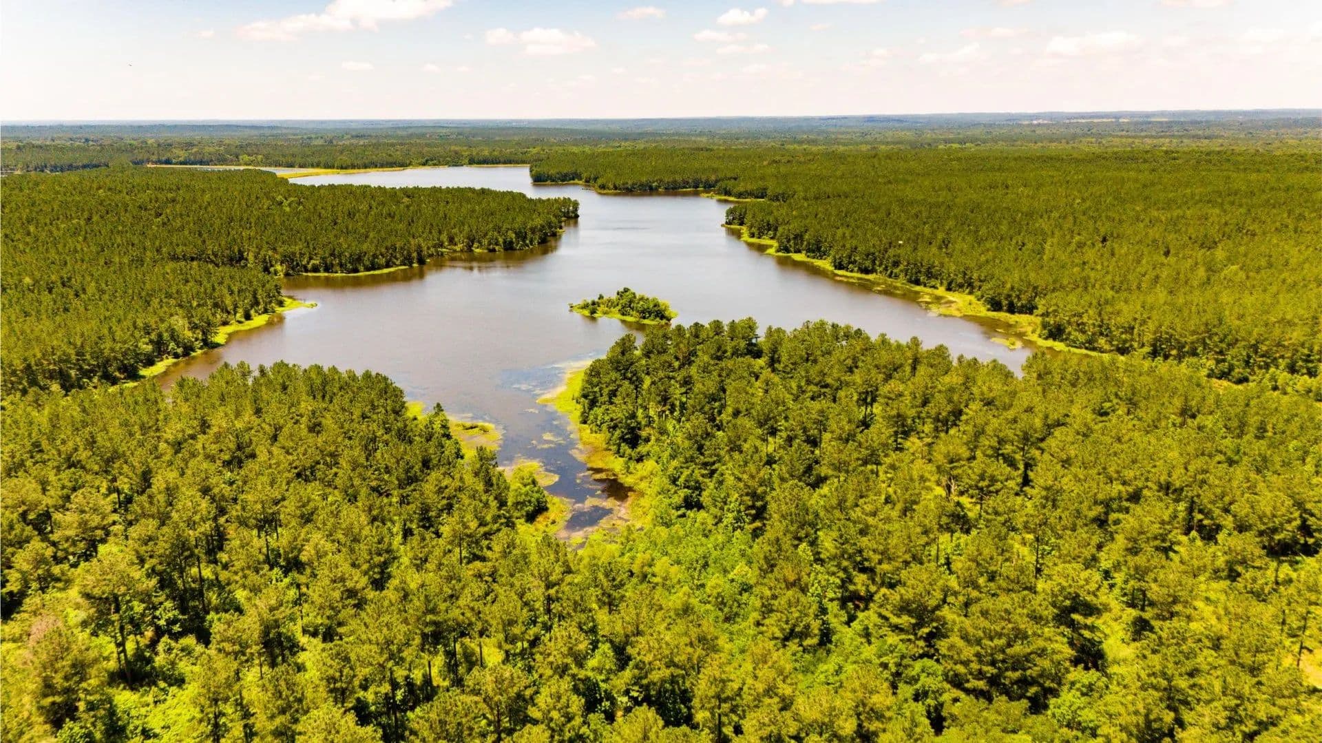 Premier Trophy Lake Offering Exceptional Development Potential - Ellisville, Mississippi, 39437