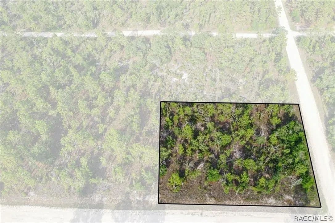 Lots & Land-Other in Williston - Williston, Florida, 32696