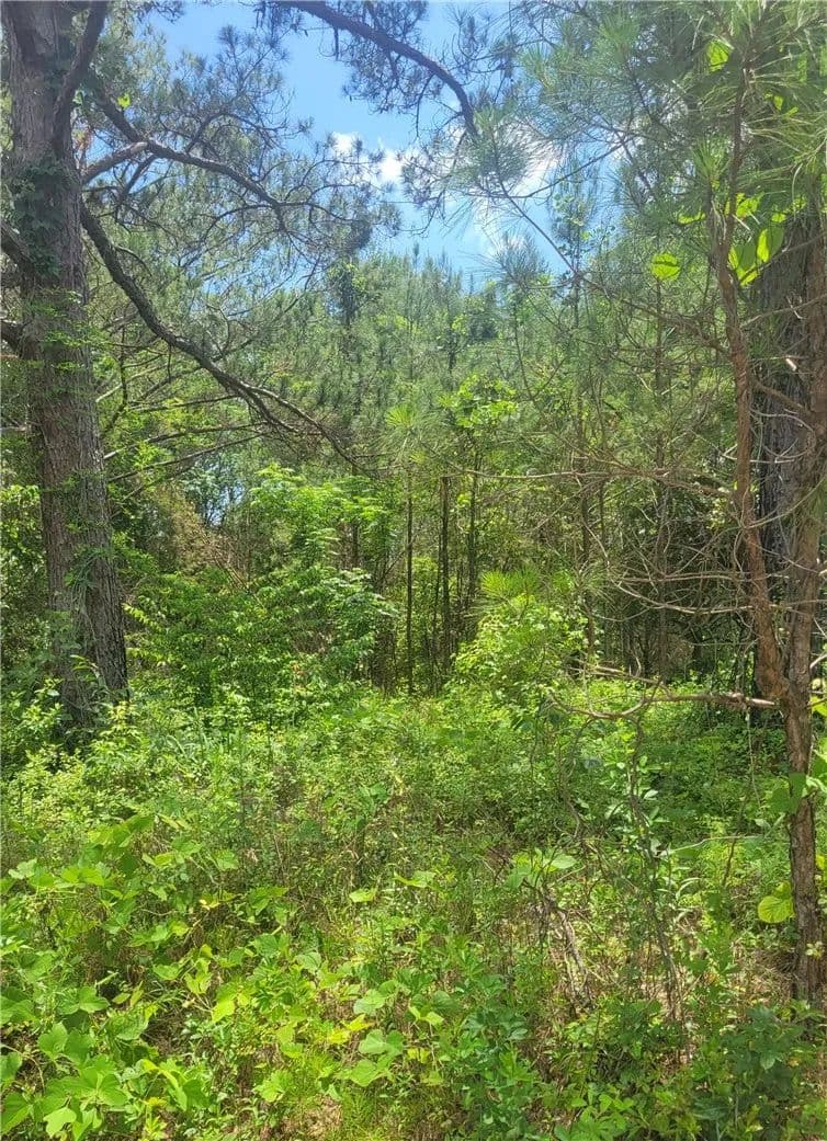 Property from 00 O. B. BROWN Road - KW - Auburn, Alabama, 36830