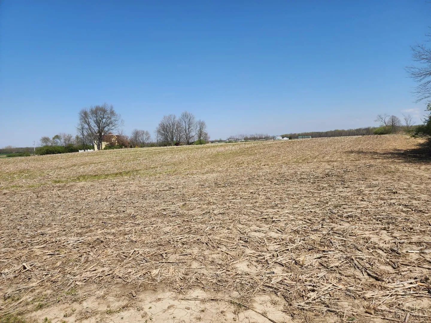97.51 Acres of Land for Sale in Clinton County, Ohio - Ohio, 45177