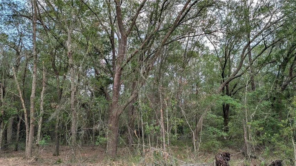 Vacant Land in Waldo - land for sale