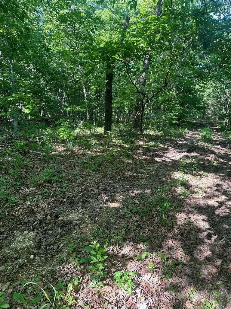 0.25 Acres of Land for Sale in Bella Vista, AR - Bella Vista, Arkansas, 72715