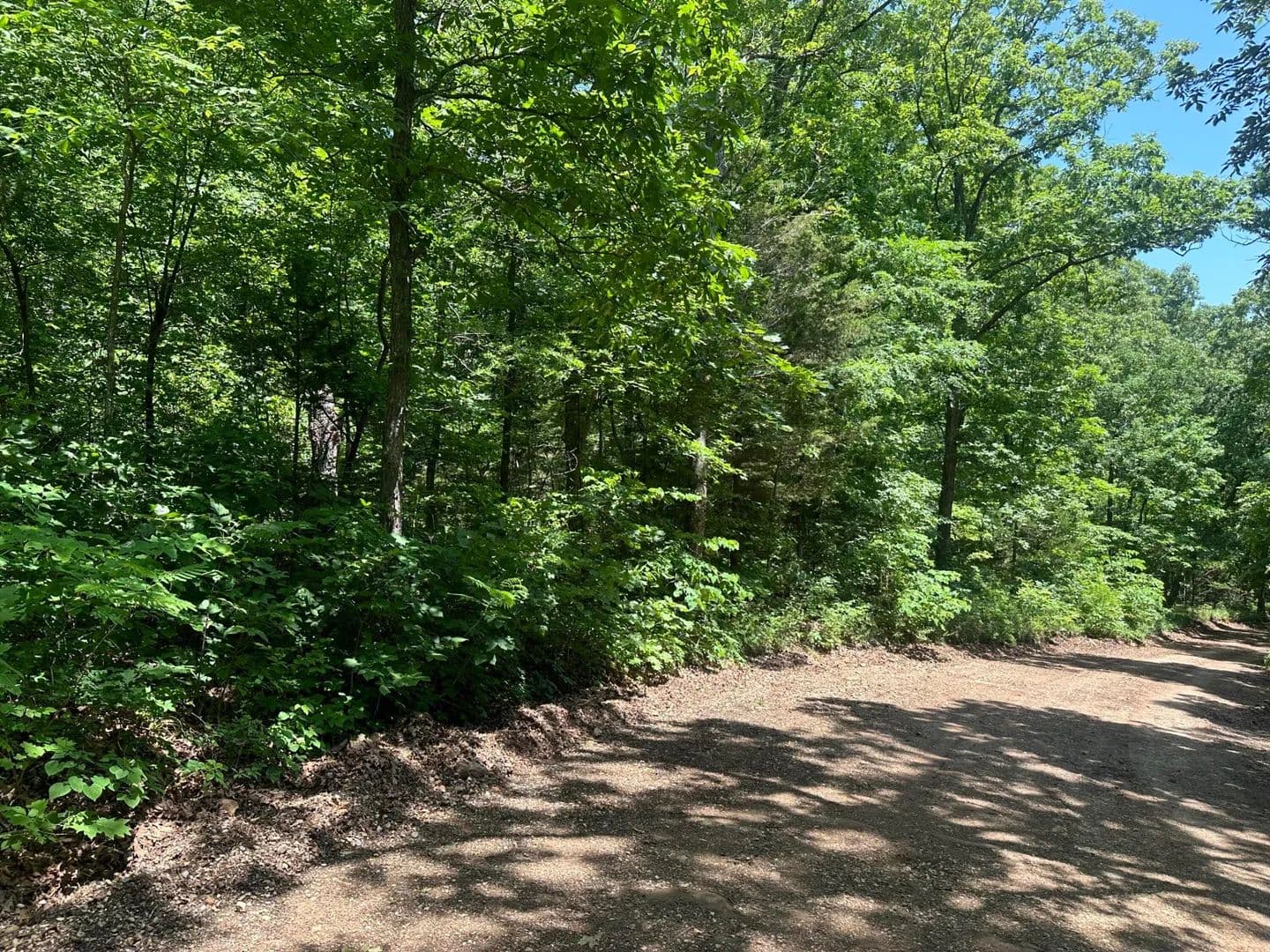 Property from Hwy 74 West - KW - Jasper, Arkansas, 72641