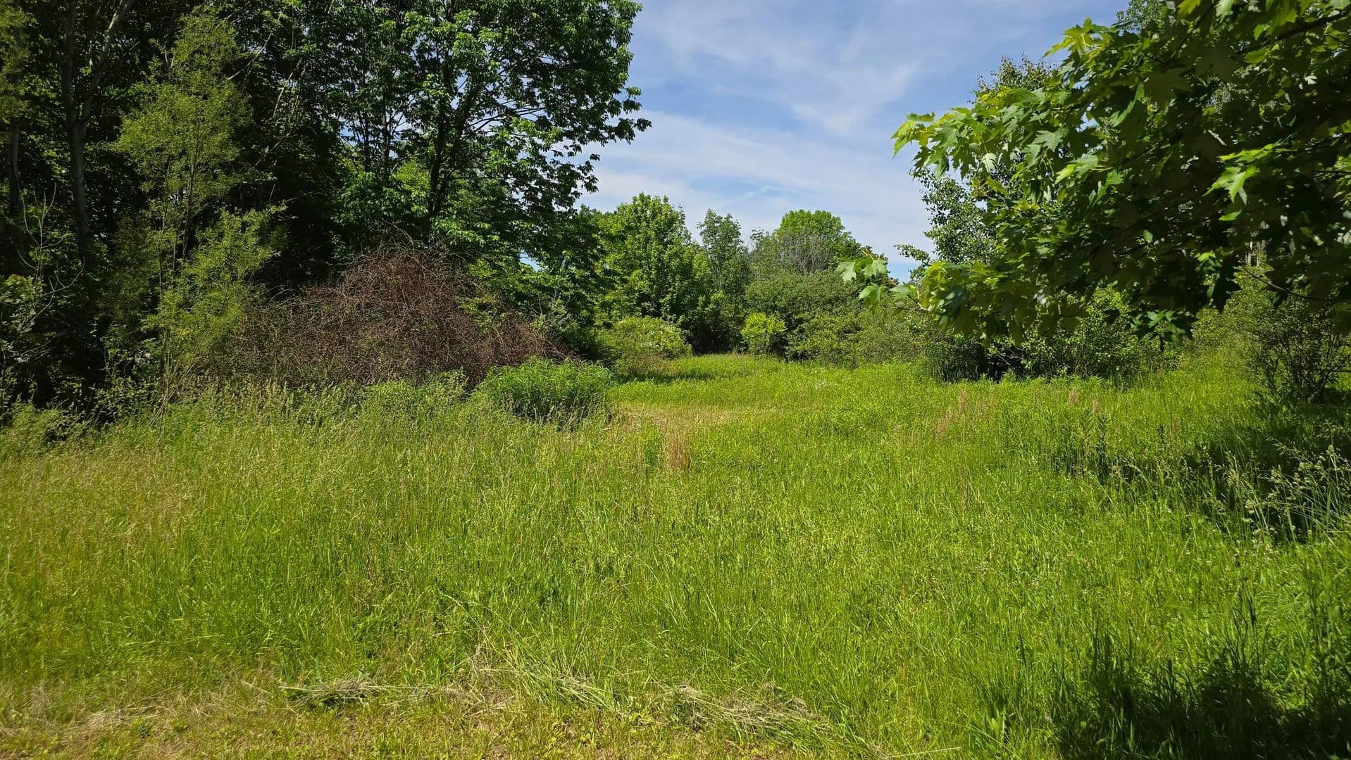 2.65 Acres of Land for Sale in Marengo, Ohio - Marengo, Ohio, 43334
