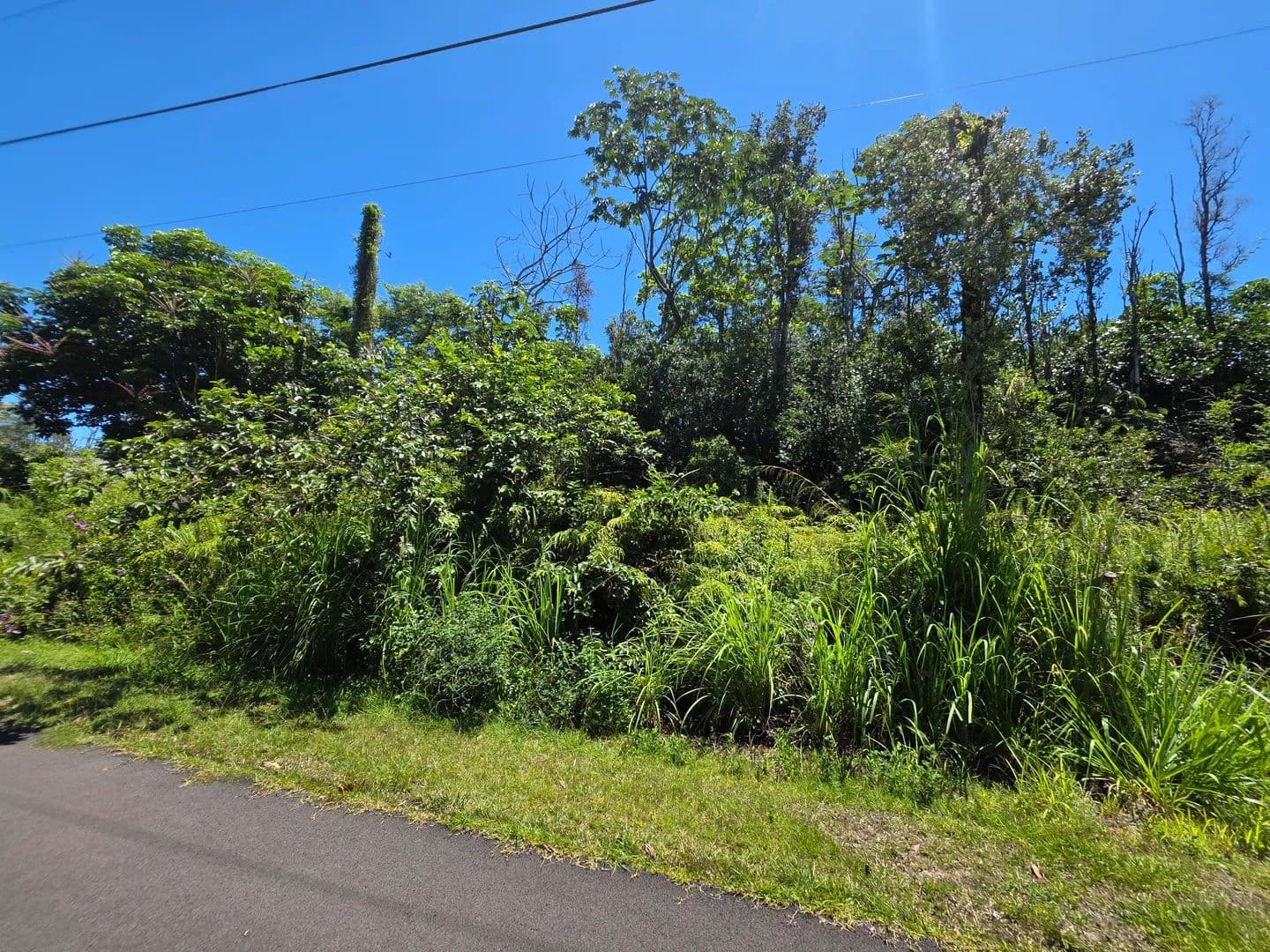 Vacant Land in Pahoa - land for sale