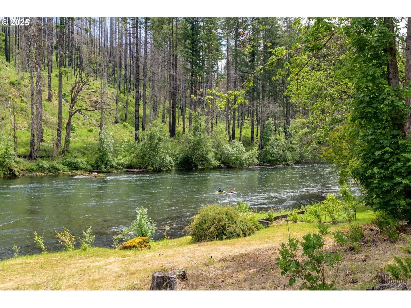 0.74 Acres of Land for Sale in Vida, OR - Vida, Oregon, 97488