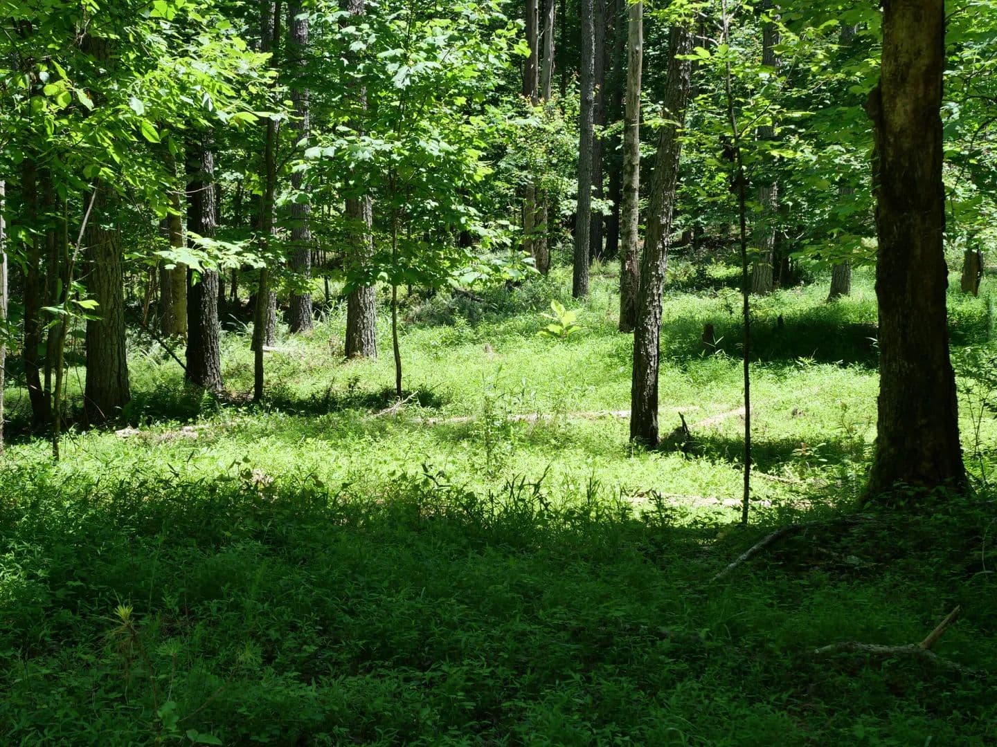 Property from 3256 Summer City - KW - Pikeville, Tennessee, 37367