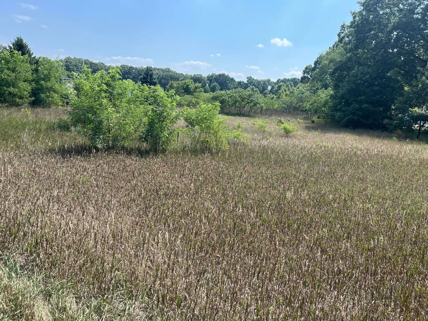 Lots & Land-Other in Allegan - Allegan, Michigan, 49010