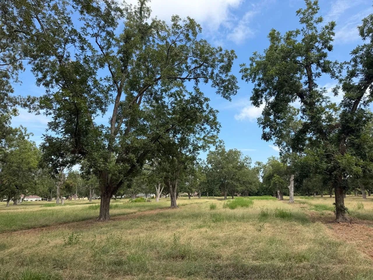 2.97 Acres Homesite on Bland Rd (Tract 1) - land for sale