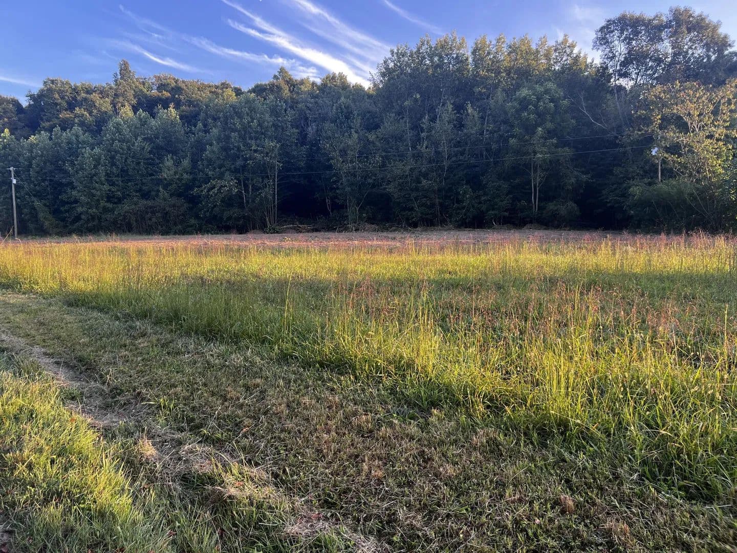49.67 Acres of Land for Sale in Russell Springs, KY - land for sale