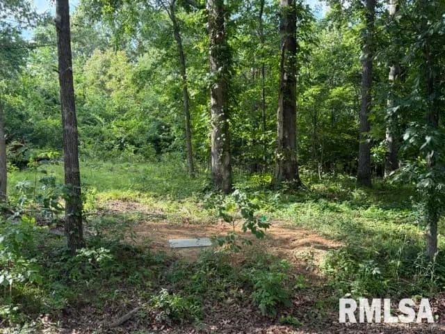 Property from 000 Wagon Creek Loop - KW - Creal Springs, Illinois, 62922