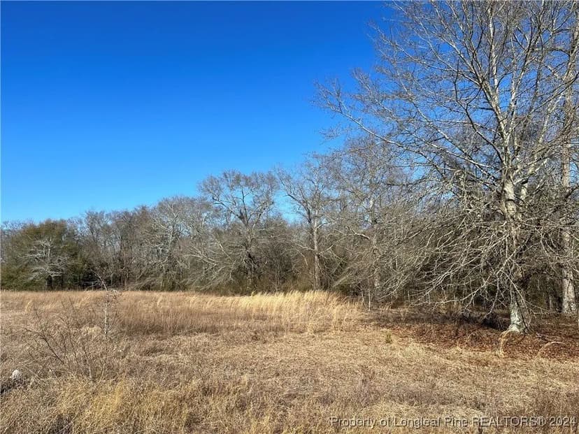 Lots & Land-Other in Gibson