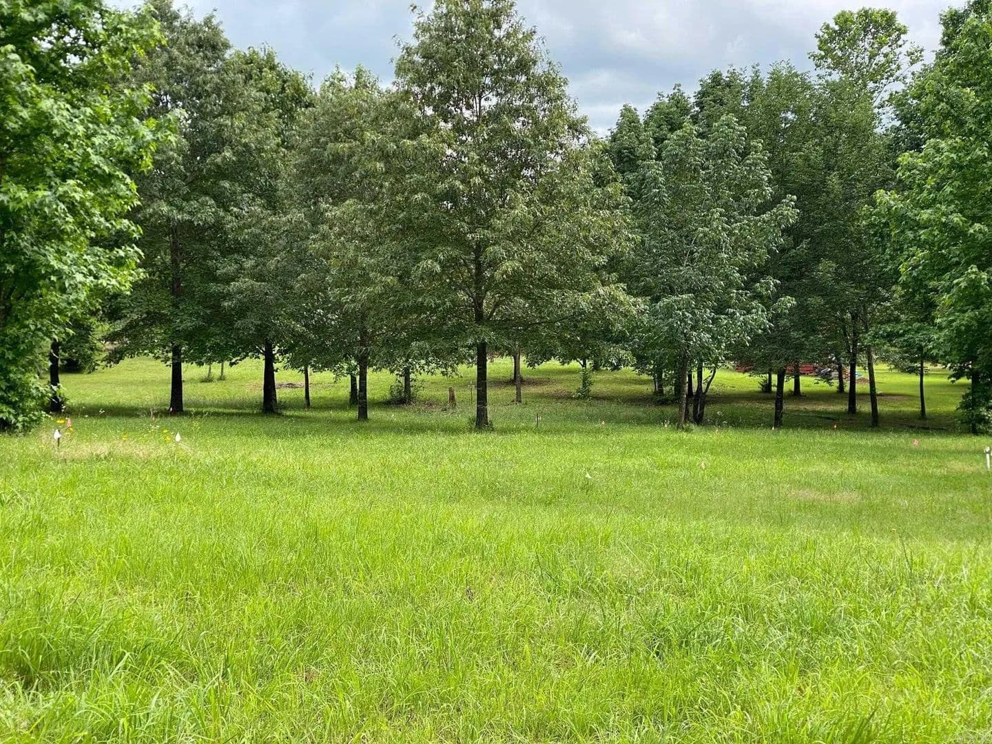 Property from Ridge CR - KW - Quitman, Arkansas, 72131