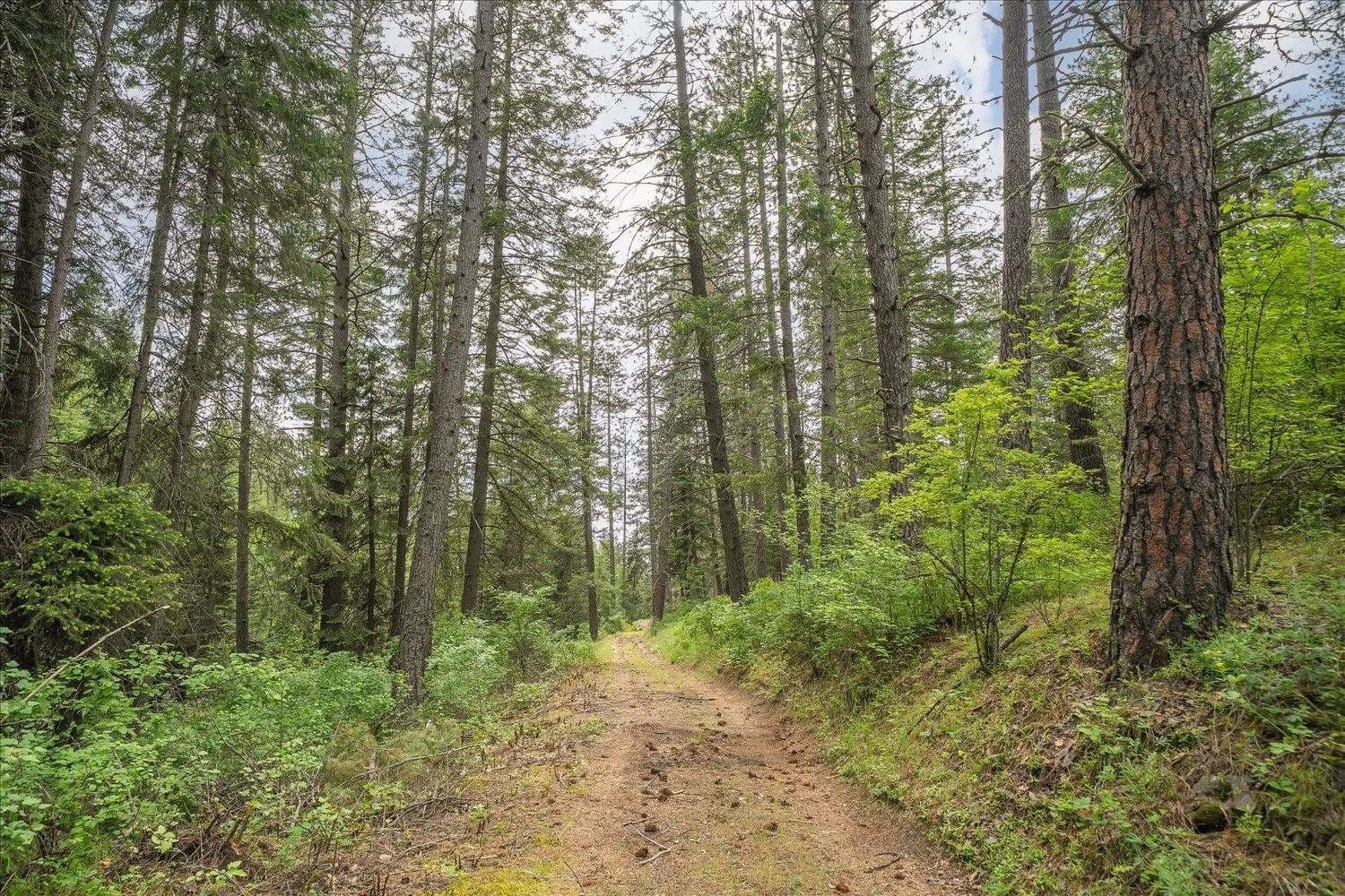 2.76 Acres of Land for Sale in Mead, Washington - Mead, Washington, 99021